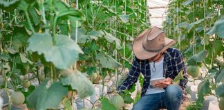 Hoy, en el Día del Agrónomo, se agradece la seguridad alimentaria