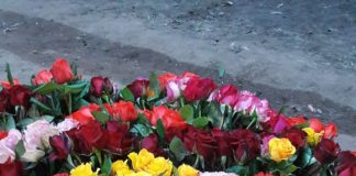 Viaja, come y enamórate de Oaxaca