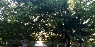 STEUABJO toma ciudad universitaria en Oaxaca