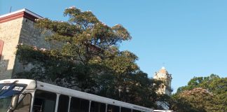 Continúan normalistas son sus acciones para lograr contratación