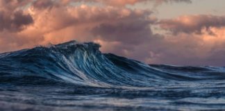 El nivel del mar en EU subirá más de 0.2 metros en los próximos 30 años: informe