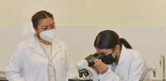 Exhorta IEEPO a fomentar la participación en la ciencia