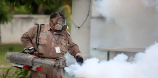 Insecticida aplicado en la lucha contra el dengue cumple con estándares de calidad: SSO