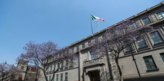 Frena la SCJN ola de amparos contra la reforma eléctrica