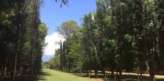 Coadyuva Bosque El Tequio a mejorar el medio ambiente en la capital.