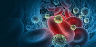 Descubren nueva variante de VIH altamente contagiosa