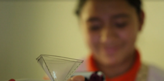 Científicas e investigadoras de la Red Global MX brindarán conferencias virtuales