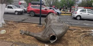 Derriban estatua que promovía el esclavismo en Morelia