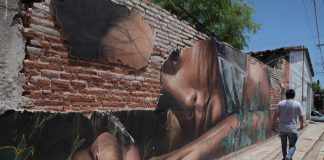 Suman 600 mujeres asesinadas durante el gobierno de Alejandro Murat en Oaxaca