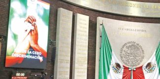 TEPJF no podrá revertir decisiones legislativas; PRI apoya propuesta de Morena.