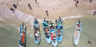 Corona rompe récord en su segundo Campeonato de Pesca de Plástico en Yucatán
