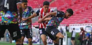 Alebrijes de Oaxaca en plan ascendente