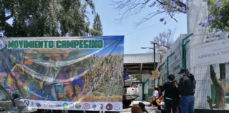 Consejos Comunitarios truenan vs Diconsa, denuncia desvíos