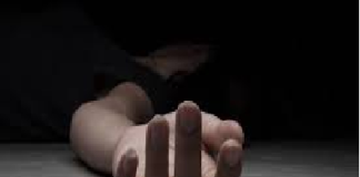 En Oaxaca han sido asesinadas 71 mujeres en lo que va del año