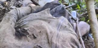 Localizan cadáver de hombre desaparecido; acusan a elementos de la AEI