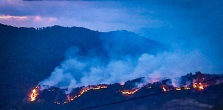 Avanza incendio en Copala, acusan al MULT de provocarlo