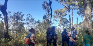 Localiza Fiscalía restos de persona desaparecida en la Costa