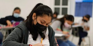 Así puedes descargar la boleta de calificaciones y el certificado de estudios de la SEP