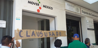 Ambientalistas truenan vs Semarnat por atentar contra medio ambiente