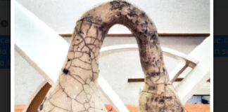 Exhibe José Santos la “pieza del mes” en el MUPO