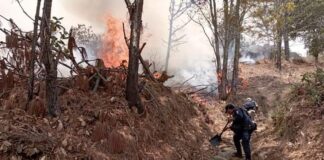 Se propaga incendio en Mazatlán