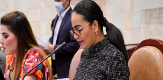 Proponen Liz Arroyo incorporar alcoholismo como causal para pérdida de patria potestad