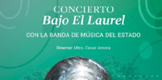 Regresan las actividades culturales a la plaza de la Constitución