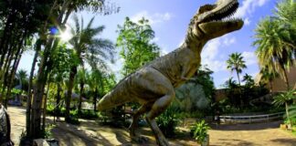 Científicos argentinos hallan dinosaurio ‘raptor’ más grande del mundo