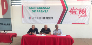 PRI Oaxaca rechaza Reforma Eléctrica, será un retroceso asegura