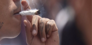 El humo de la marihuana circula libre por el aire de Oaxaca