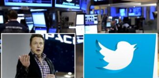 Por oferta de Elon Musk, acciones de Twitter en Wall Street se disparan más del 12%