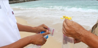 Playas de la Costa, limpias para uso recreativo: SSO