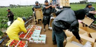 Estados Unidos extiende permisos laborales para migrantes y solicitantes de asilo