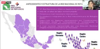La maternidad en los refugios para sobrevivientes de violencia