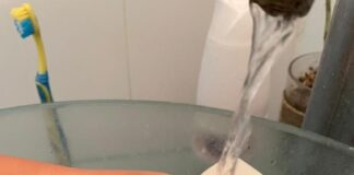 Sin casos sospechosos de hepatitis aguda desconocida en Oaxaca: SSO