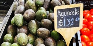 Aguacate llega a 150 pesos el kilo en verdulerías; limón a la baja