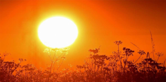 Persiste ambiente caluroso y seco en Oaxaca