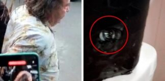 Encuentran cámaras ocultas en baños de un colegio en Monterrey; detienen al Director