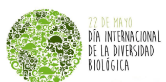 EfeméridesRIO: Día de la Diversidad Biológica