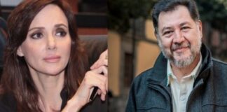 De paniguados a changoleón, así el agarrón entre Lilly Téllez y Noroña