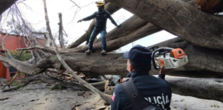 Municipio capitalino aplica operativo para atender afectaciones por lluvia