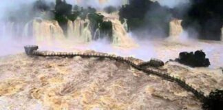 Cierran la “Garganta del Diablo” por crecida del río Iguazú