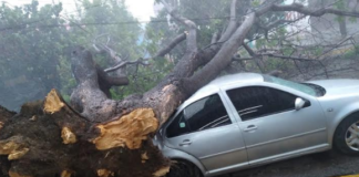 Supervisa CEPCO afectaciones por lluvias en la capital oaxaqueña