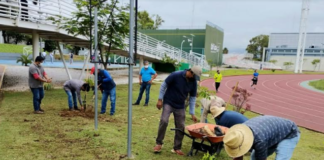 Realiza Secretaría de Administración Campaña de Reforestación
