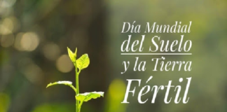 EfeméridesRIO: Día Mundial del Suelo y la Tierra Fértil