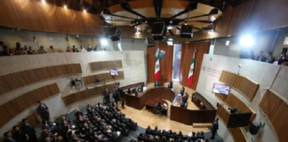 Tribunal Electoral confirma multa de 118 millones de pesos al Partido Verde y sus “influencers”