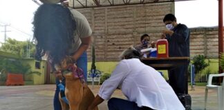 Cuidado de los animales, fundamental para prevenir zoonosis