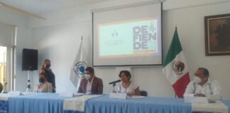 En Oaxaca van 272 investigaciones por agresiones a defensores de DH