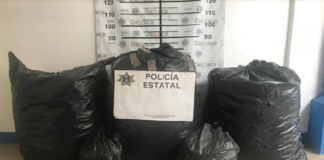 Decomisa Policía Estatal más de 58 kilogramos de marihuana en Mixtepec