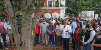 Guamúchil, ejemplar que marcará una nueva etapa en la historia de la ciudad